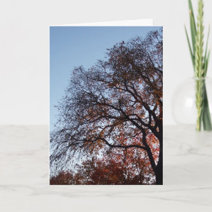 Sympathy Silhouette Trees Card