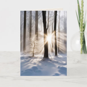 Sympathy Sunbeams In Winter Forest Card