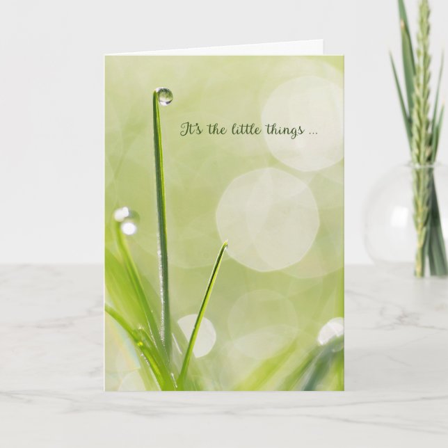 Sympathy Thank You - Dewdrop on a Blade of Grass (Front)