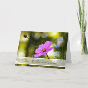 Sympathy Thank You Evening Pink Cosmos Wildflower