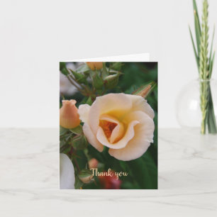 Sympathy Thank You from Family Card