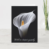 Sympathy White Calla Lily On Black