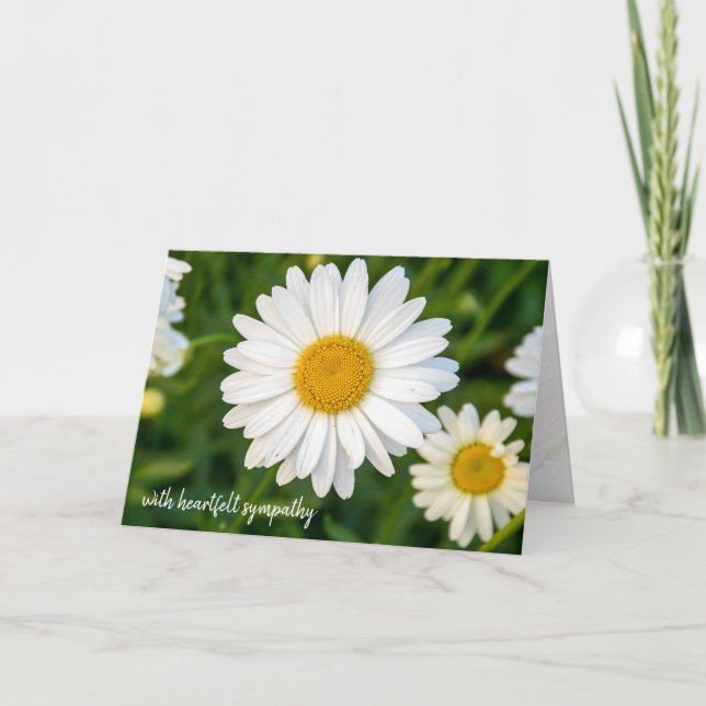sympathy white daisy card (Front)