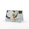 Sympathy white magnolia flower floral cards