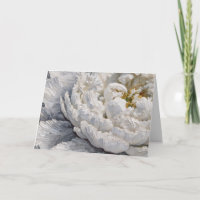 Sympathy White Peony Impasto Painting