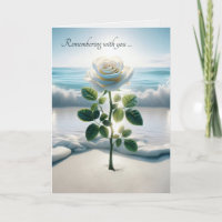 Sympathy White Rose In Beach Sand