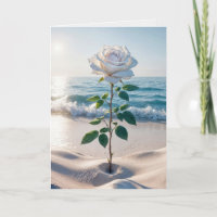 Sympathy White Rose In Beach Sand