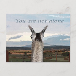Sympathy: You Are Not Alone Llama Postcard