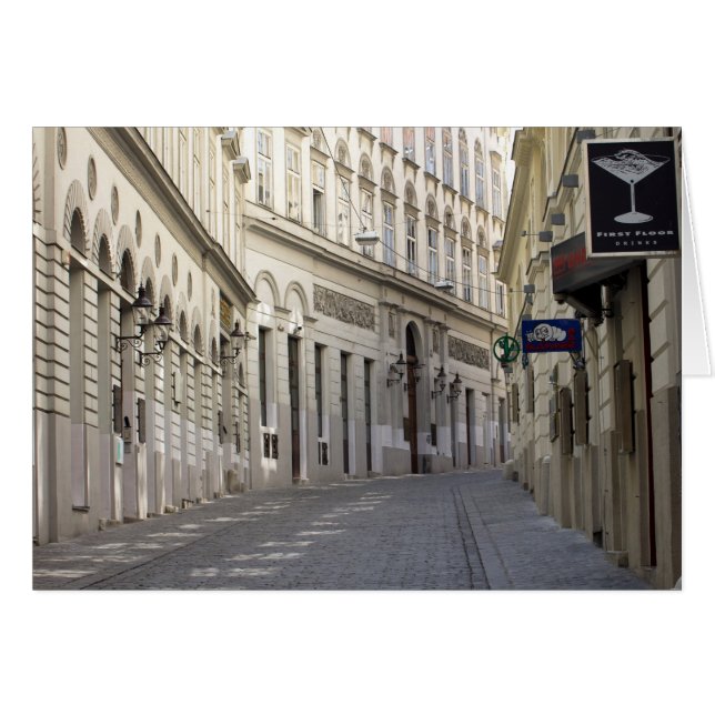 Synagogue In Seitenstettengasse (Front Horizontal)