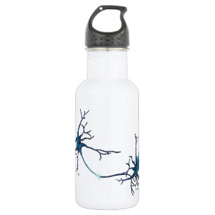 Synapse Between Neurons, Neuroscience Neuron 532 Ml Water Bottle
