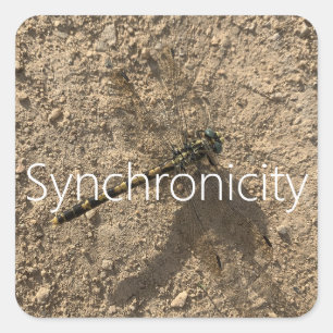 'Synchronicity' Sticker