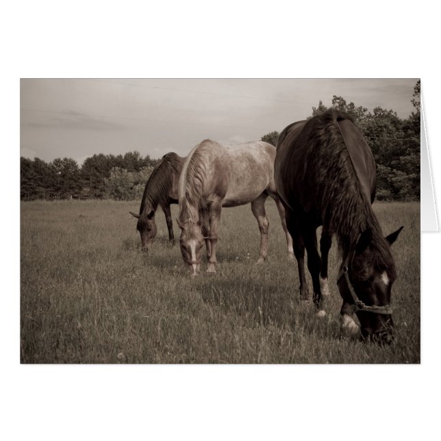 Synchronised Munching (Front Horizontal)