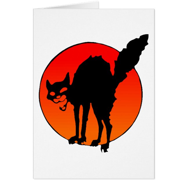 Syndicalist's cat (Front)