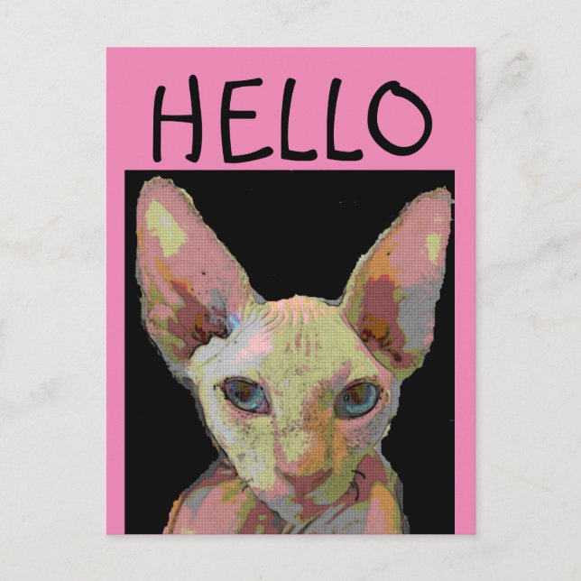 SYPHNX HAIRLESS CAT HELLO Postcard (Front)