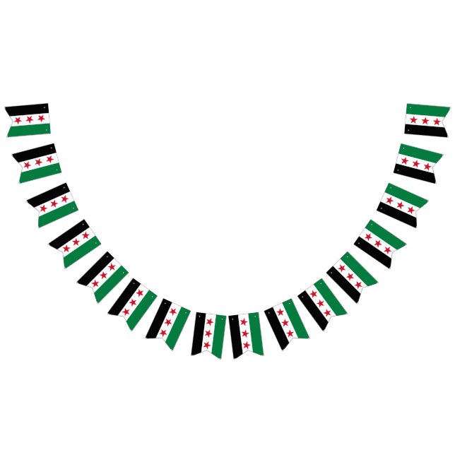 Syria bunting, wedding party banner, Syrian Flag (All)