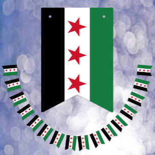 Syria bunting, wedding party banner, Syrian Flag