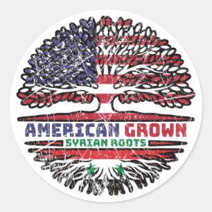 Syria Syrian US American USA United States Tree Classic Round Sticker