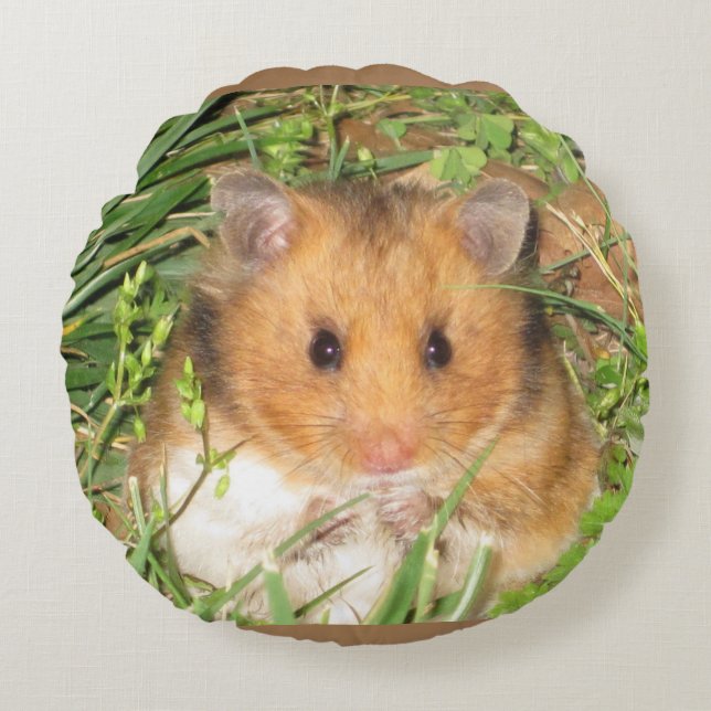 Syrian hamster round cushion (Front)