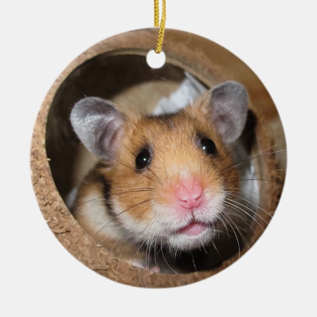 Syrian Pet Hamster - Standard Hamster - Teddy Bear Ceramic Tree Decoration (Front)