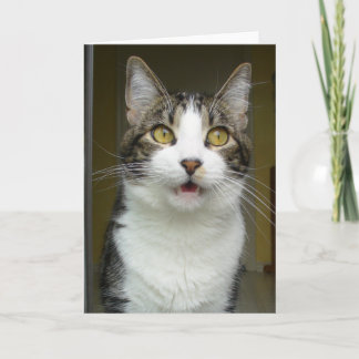 Syrus Shocked Greeting Card 0001