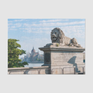 Szechenyi Chain Bridge and Parliament of Budapest Tissue Paper