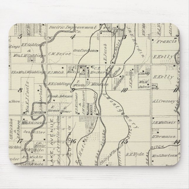 T19S R21E Tulare County Section Map Mouse Pad (Front)