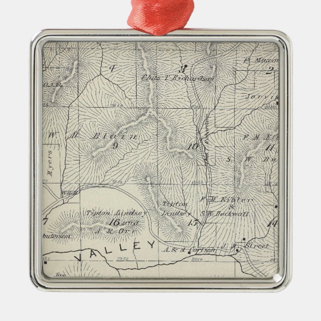 T19S R28E Tulare County Section Map Metal Tree Decoration (Front)