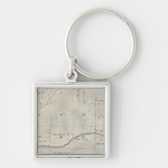 T20S R28E Tulare County Section Map Key Ring (Front)