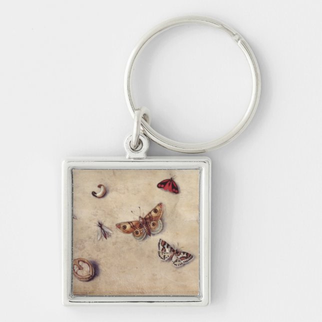 T31566 A Study of Various Insects, Fruit and Anima Key Ring (Front)