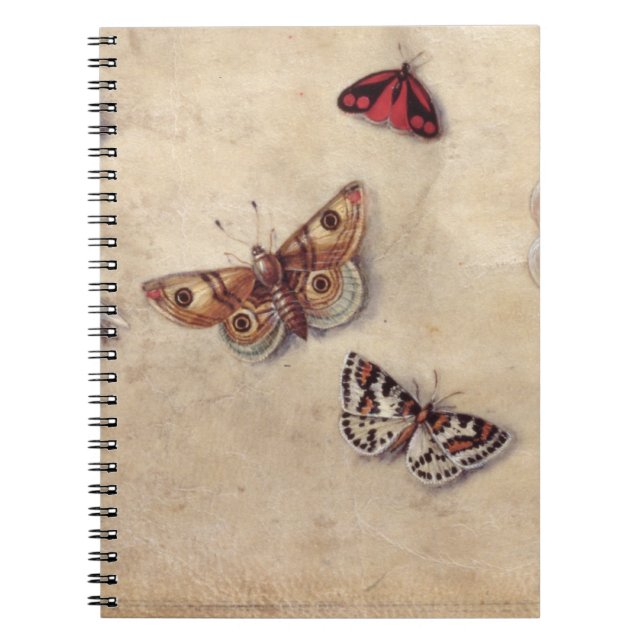 T31566 A Study of Various Insects, Fruit and Anima Spiral Notebook (Front)
