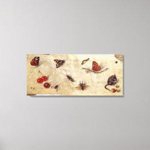 T31567 A Study of Various Insects, Fruit and Anima Canvas Print