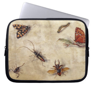 T31567 A Study of Various Insects, Fruit and Anima Laptop Sleeve