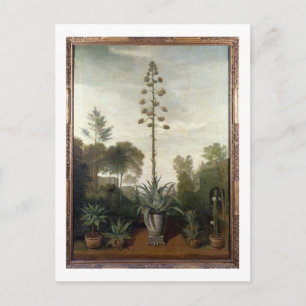 T33047 A Botanical Garden Postcard