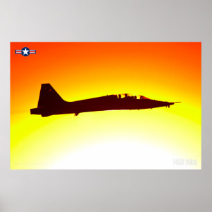 T-38C TALON POSTER