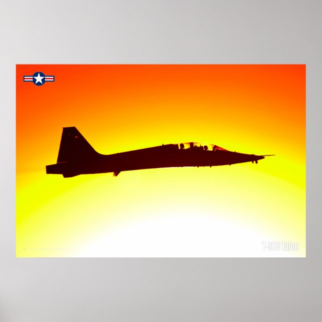 T-38C TALON POSTER (Front)