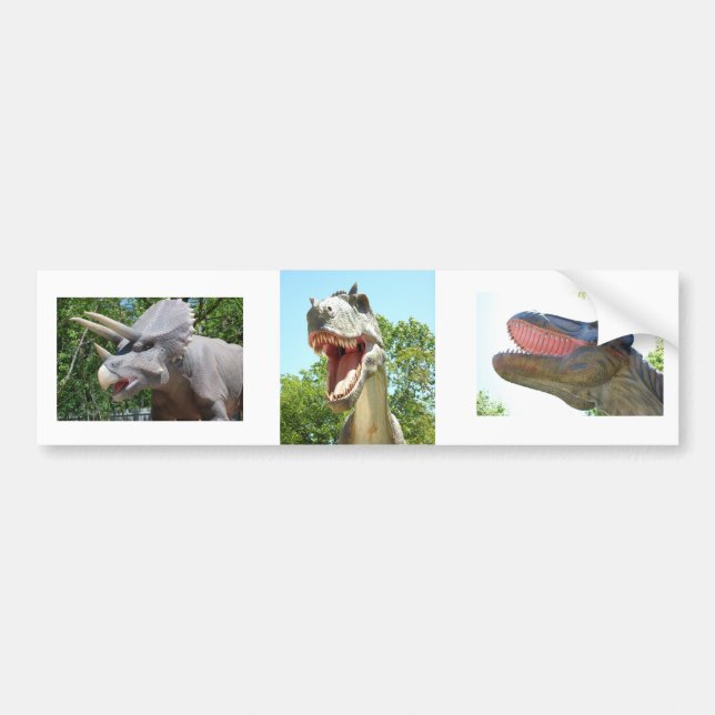 T-Rex Dinosaurs Bumper Sticker (Front)