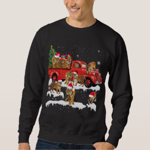 T-rex Riding Red Truck Christmas Tree Believe Sant Sweatshirt