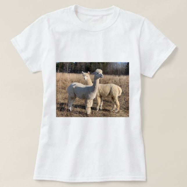 T-Shirt - Alpacas Abby & Bailey (Design Front)