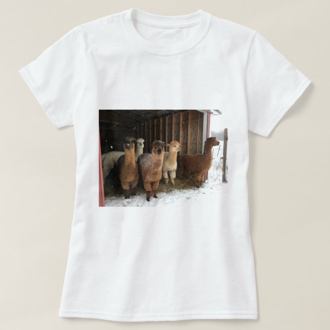T-Shirt - Alpacas in the Snow (Design Front)