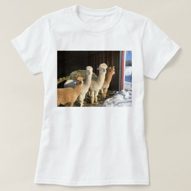 T-Shirt - Alpacas in the Winter Sun (Design Front)