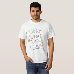 T-Shirt Diagram of the Chemical structure of DNA