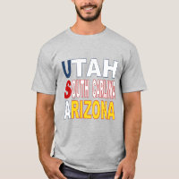 T-shirt gris pour homme DESIGN  USA