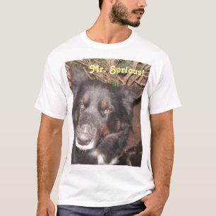 T-Shirt Husky Collie Cross