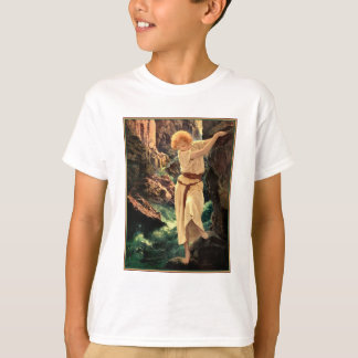 T-Shirt: The Canyon - Maxwell Parrish T-Shirt