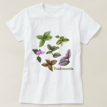 T-shirt Tradescantia plants