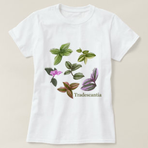 T-shirt Tradescantia plants
