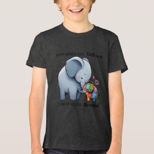 T-Shirt Tri-Blend Shirt