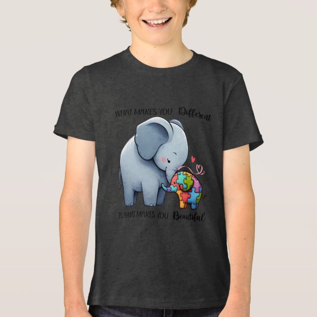 T-Shirt Tri-Blend Shirt (Front)