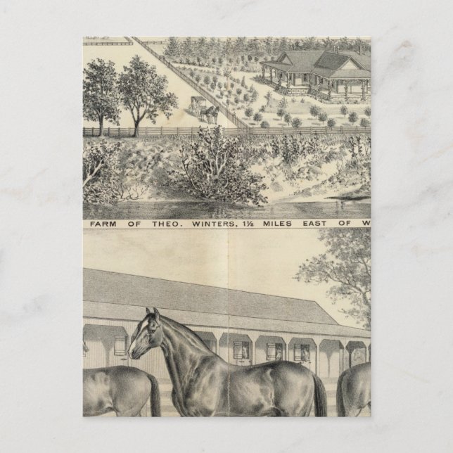 T Winters farm Postcard (Front)