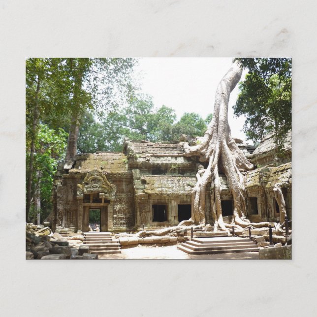 ta prohm angkor postcard (Front)